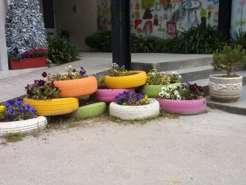 Os pneus pintados por alunos e com a ajuda dos funcionários da Câmara Municipal foram plantados amores perfeitos.Ficou uma linda entrada!